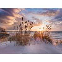 2 Tage auf der Nordeseeinsel Sylt mit Frühstück Sylter Domizil in Wenningstedt, Schleswig-Holstein inkl. Frühstück Aktuelle Nordseereisen online kaufen 2 Tage auf der Nordeseeinsel Sylt mit Frühstück Sylter Domizil in Wenningstedt, Schleswig-Holstein inkl. Frühstück Aktuelle Nordseereisen online kaufen