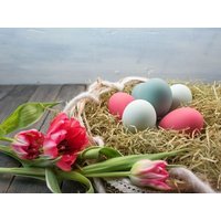 3 Tage Ostertage im "Kleinen Hans" an der Nordsee Der kleine Hans in Sankt Michaelisdonn, Schleswig-Holstein inkl. Halbpension Aktuelle Nordseereisen online kaufen 3 Tage Ostertage im "Kleinen Hans" an der Nordsee Der kleine Hans in Sankt Michaelisdonn, Schleswig-Holstein inkl. Halbpension Aktuelle Nordseereisen online kaufen