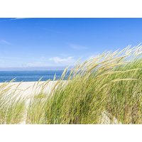 4 Tage auf der Nordeseeinsel Sylt mit Frühstück Sylter Domizil in Wenningstedt, Schleswig-Holstein inkl. Frühstück Aktuelle Nordseereisen online kaufen 4 Tage auf der Nordeseeinsel Sylt mit Frühstück Sylter Domizil in Wenningstedt, Schleswig-Holstein inkl. Frühstück Aktuelle Nordseereisen online kaufen