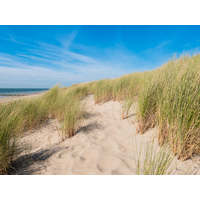 5 Tage Endlose Weiten und das Meer Paulsen's Landhotel in Bohmstedt, Schleswig-Holstein inkl. Frühstück Aktuelle Nordseereisen online kaufen