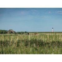 6 Tage Spaziergang am Nordseedeich Kirchspielkrug Westerhever, Schleswig-Holstein inkl. Frühstück Aktuelle Nordseereisen online kaufen 6 Tage Spaziergang am Nordseedeich Kirchspielkrug Westerhever, Schleswig-Holstein inkl. Frühstück Aktuelle Nordseereisen online kaufen