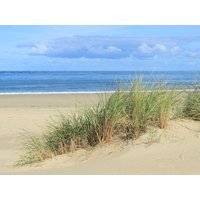9 Tage Nordsee & Den Haag genießen Bilderberg Europa Hotel Scheveningen, Südholland (Zuid-Holland) Aktuelle Nordseereisen online kaufen 9 Tage Nordsee & Den Haag genießen Bilderberg Europa Hotel Scheveningen, Südholland (Zuid-Holland) Aktuelle Nordseereisen online kaufen