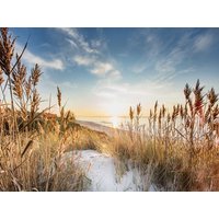 Ausspannen in Kampen auf Sylt: 7 Tage mit Frühstück Hotel Village in Kampen (Sylt), Schleswig-Holstein inkl. Frühstück Aktuelle Nordseereisen online kaufen Ausspannen in Kampen auf Sylt: 7 Tage mit Frühstück Hotel Village in Kampen (Sylt), Schleswig-Holstein inkl. Frühstück Aktuelle Nordseereisen online kaufen