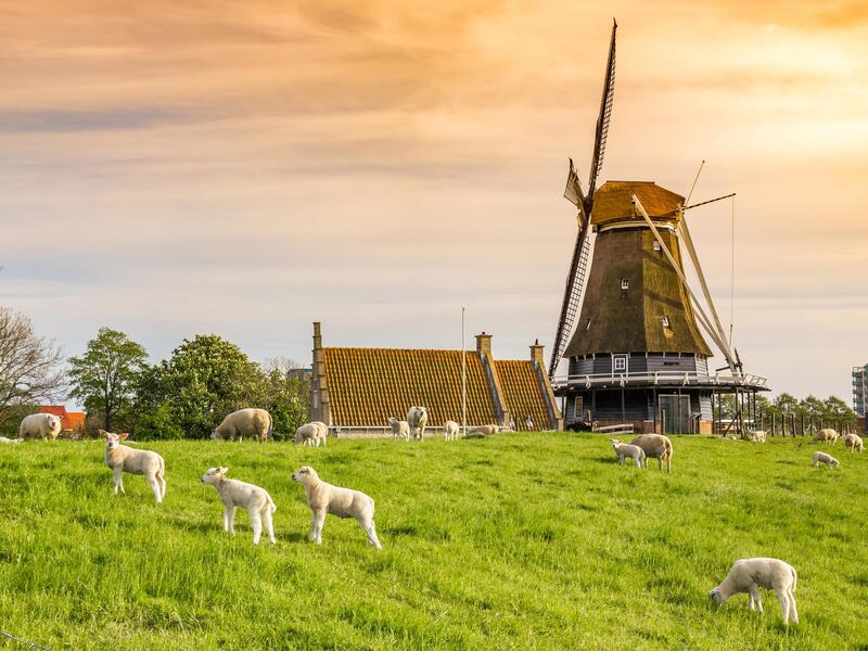 Kreuzfahrten Niederlande - Nordroute: Mit Rad & Schiff MS De Willemstad ab/an Amsterdam Aktuelle Nordseereisen online kaufen