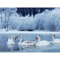 Ostfriesen Winterschnäppchen - 5 Tage inkl. HP plus Ferien Hotel Ostfriesland in Wiesmoor, Niedersachsen inkl. Halbpension Plus Aktuelle Nordseereisen online kaufen Ostfriesen Winterschnäppchen - 5 Tage inkl. HP plus Ferien Hotel Ostfriesland in Wiesmoor, Niedersachsen inkl. Halbpension Plus Aktuelle Nordseereisen online kaufen
